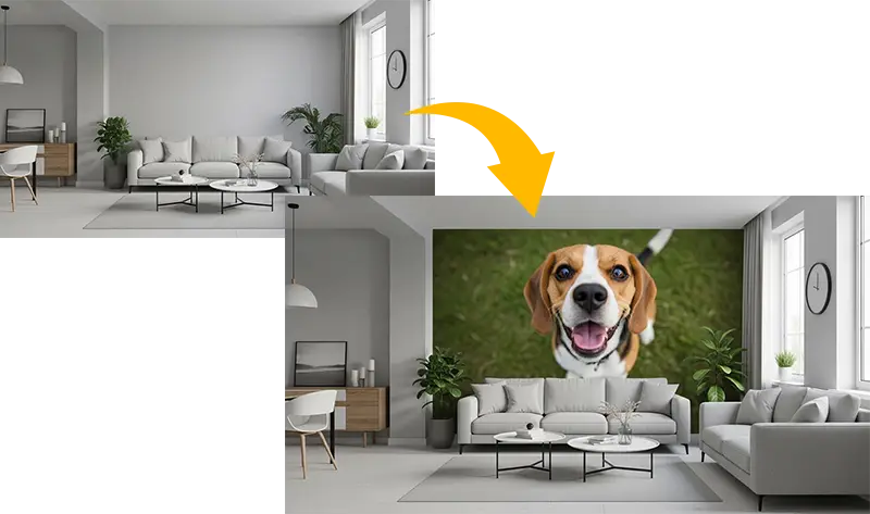 施工前と施工後写真